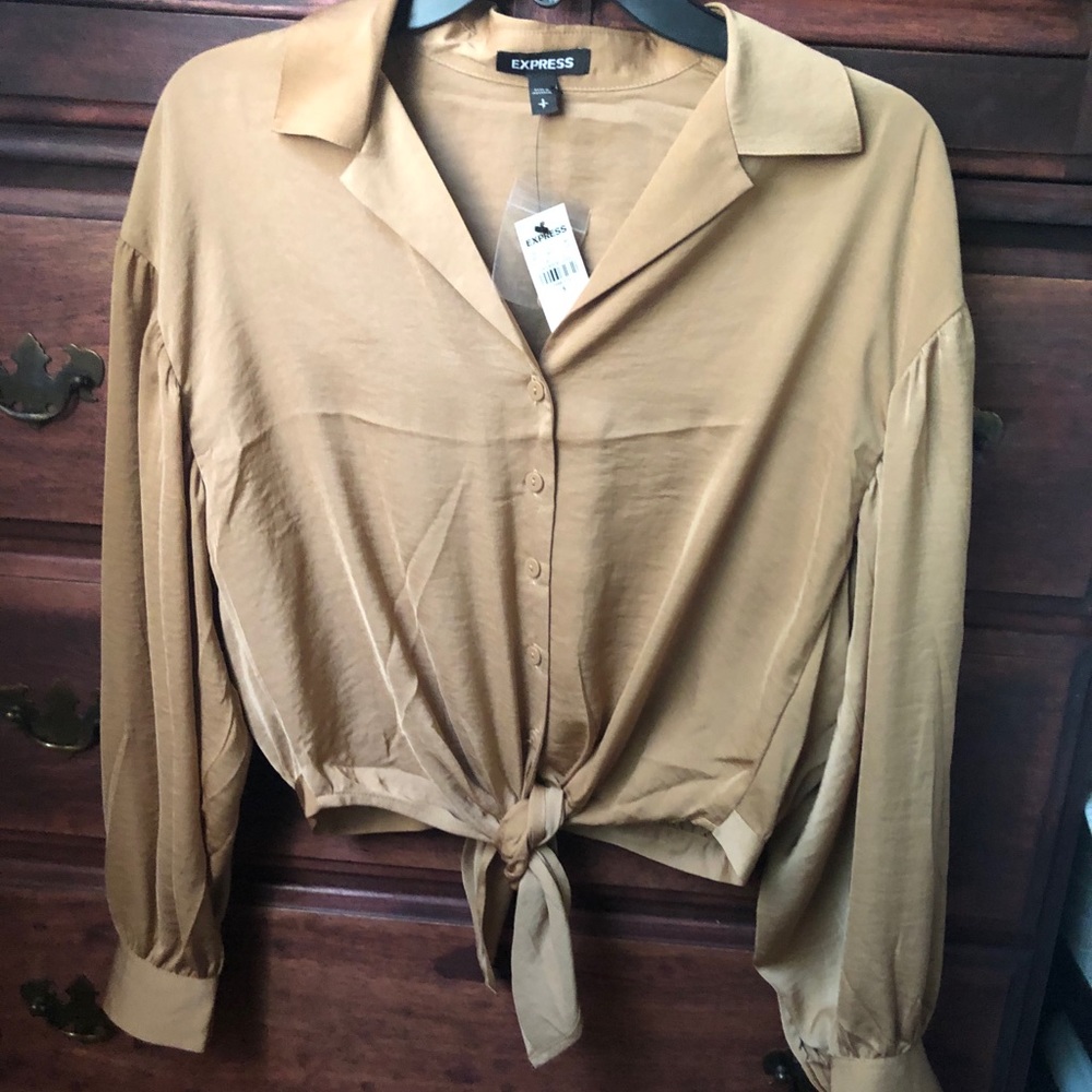Express Balloon Sleeve Button Down Blouse